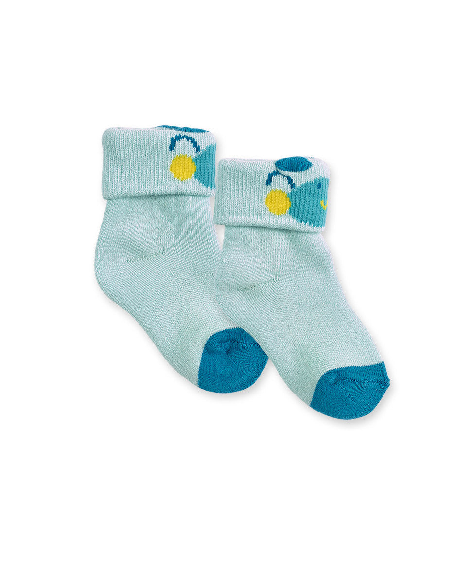 Calcetines azul niño Dragon Finder