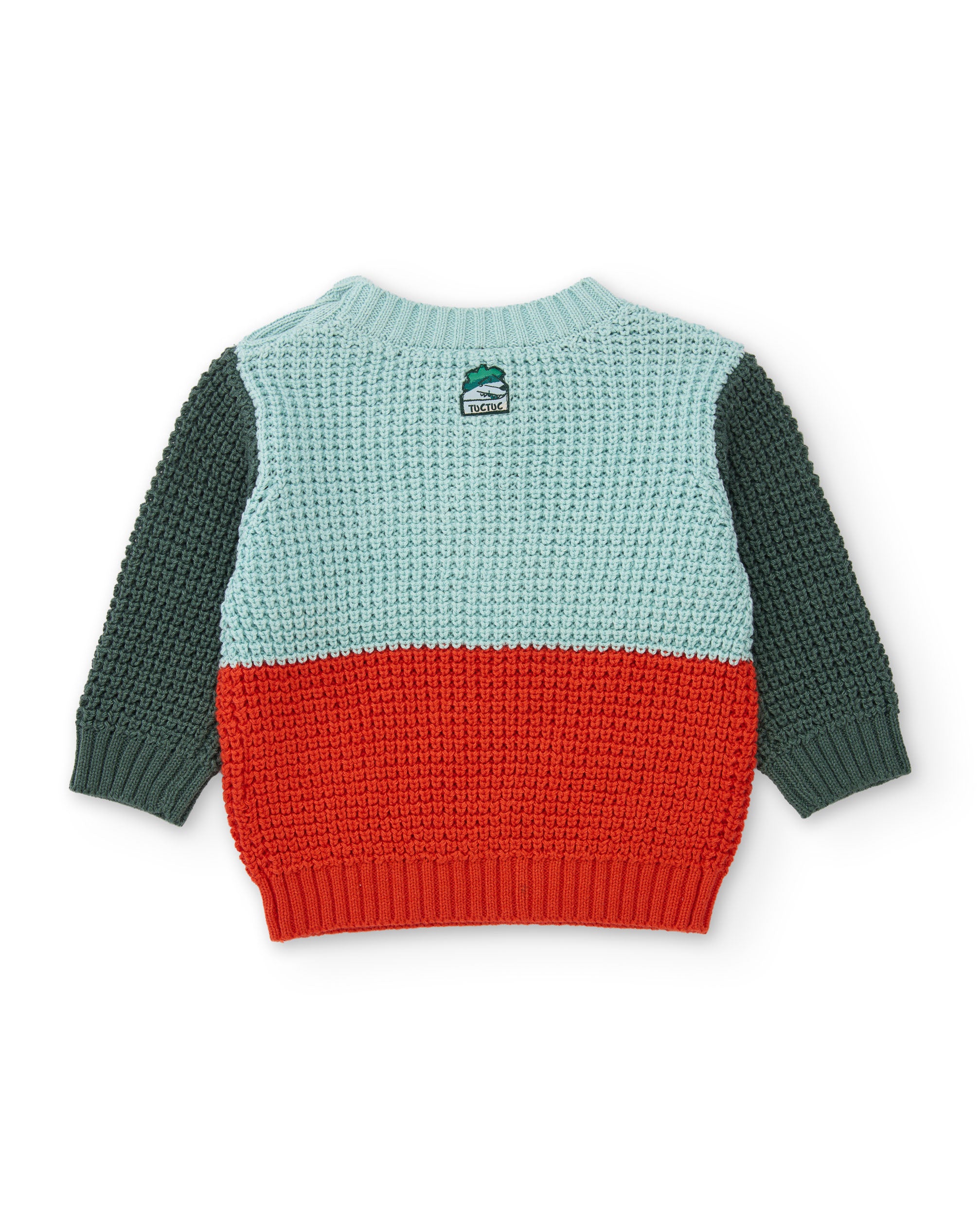 Jersey de niño de tricot con diseño de león y tejido cálido