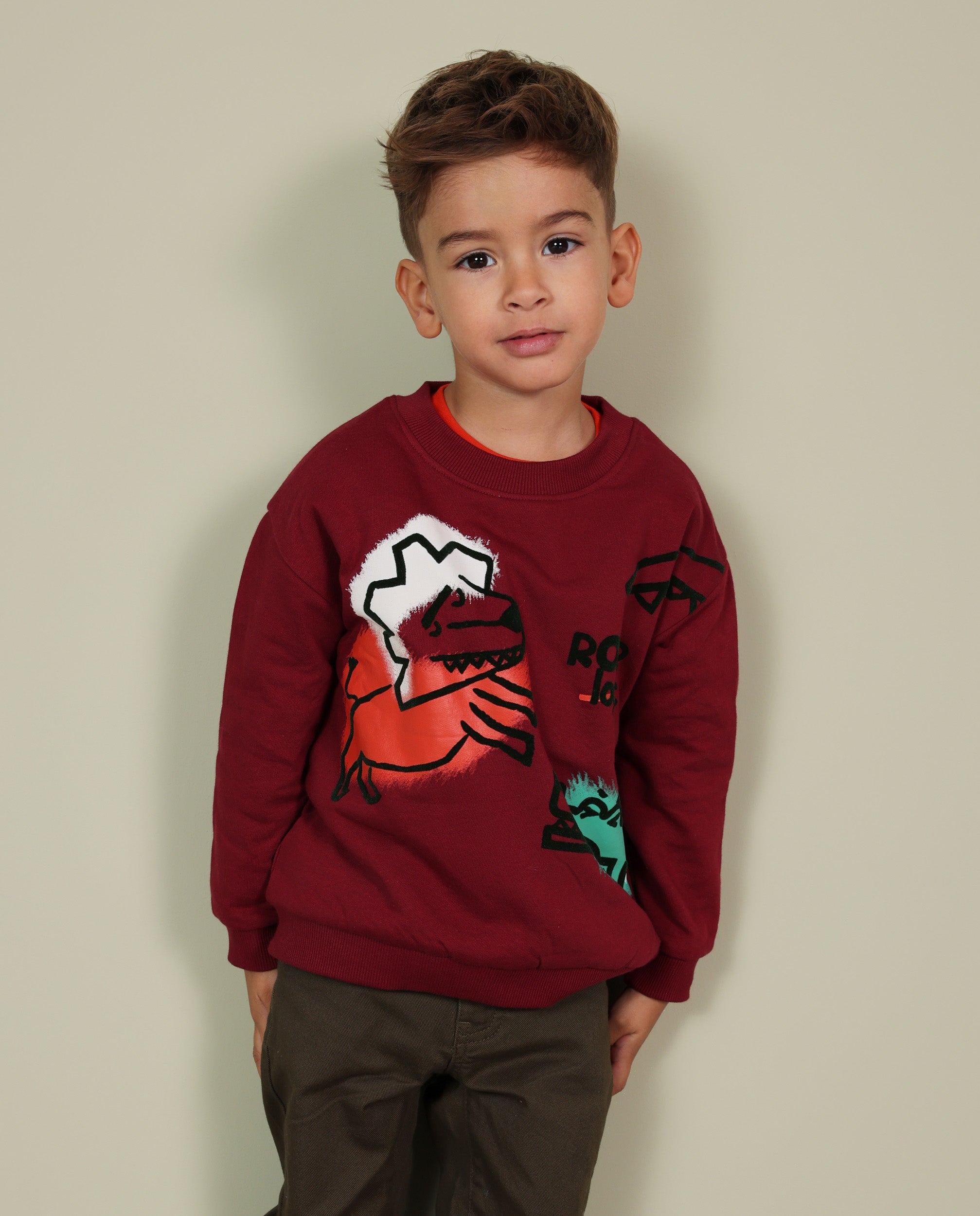Sudadera de niño de felpa con estampado de animales y tejido cálido