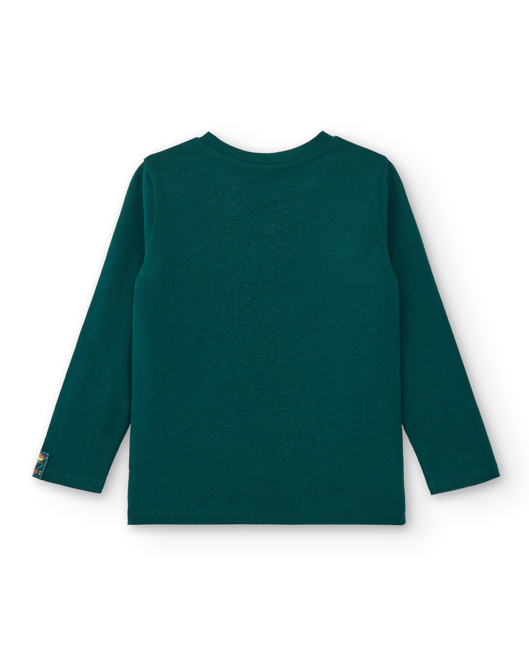 Camiseta de manga larga para niño en verde con estampado de