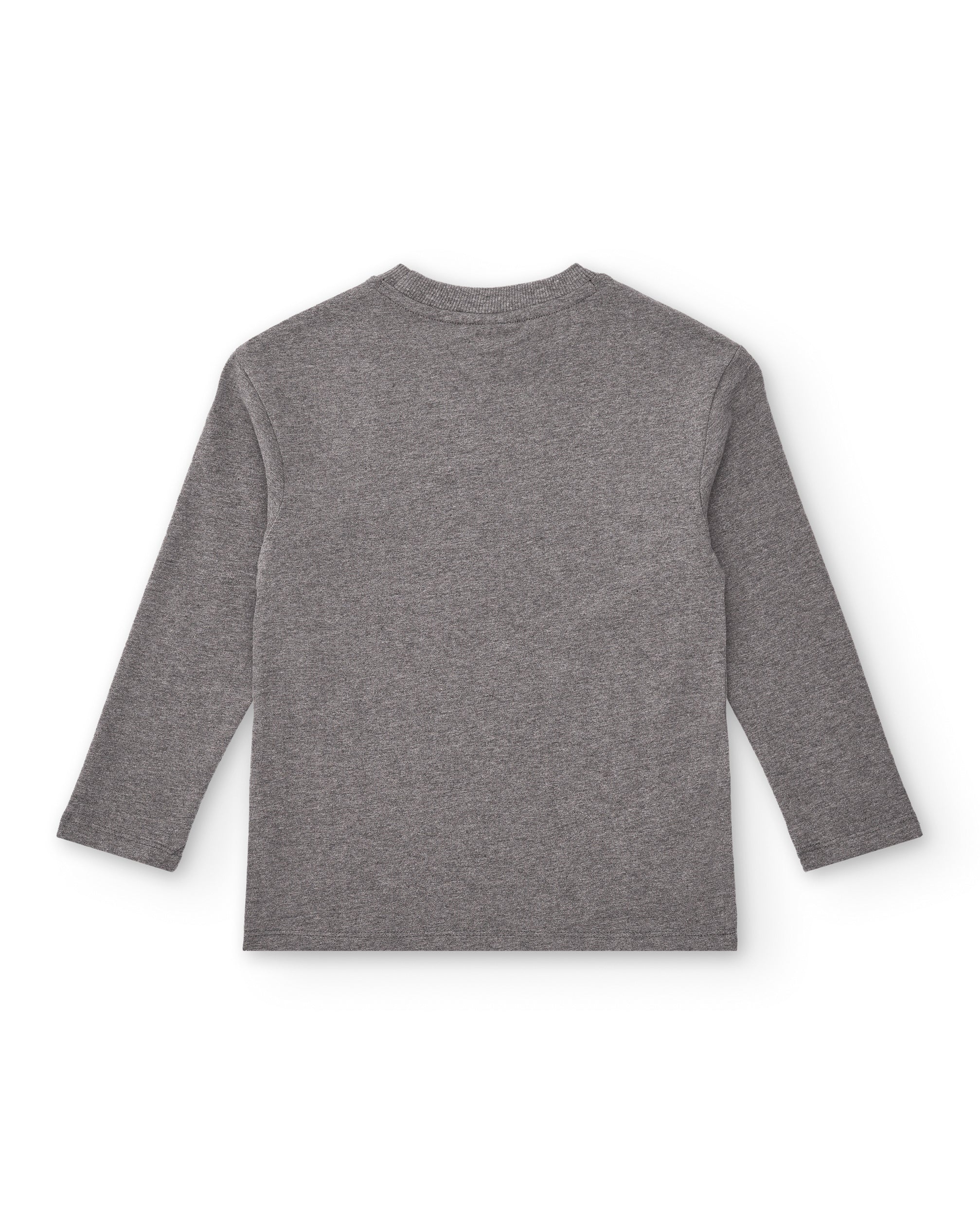 Camiseta de manga larga para niño en gris con estampado skater