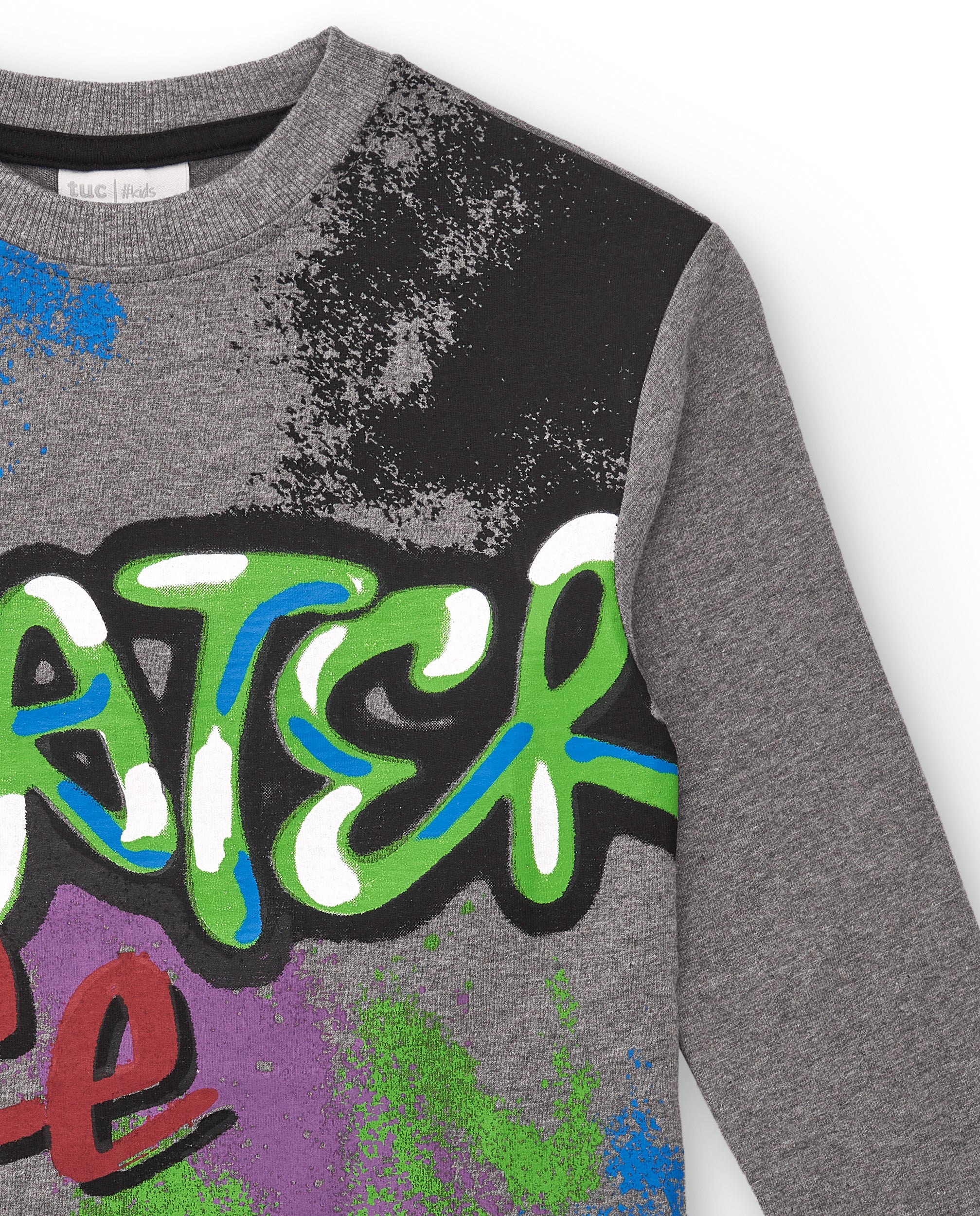 Camiseta de manga larga para niño en gris con estampado skater