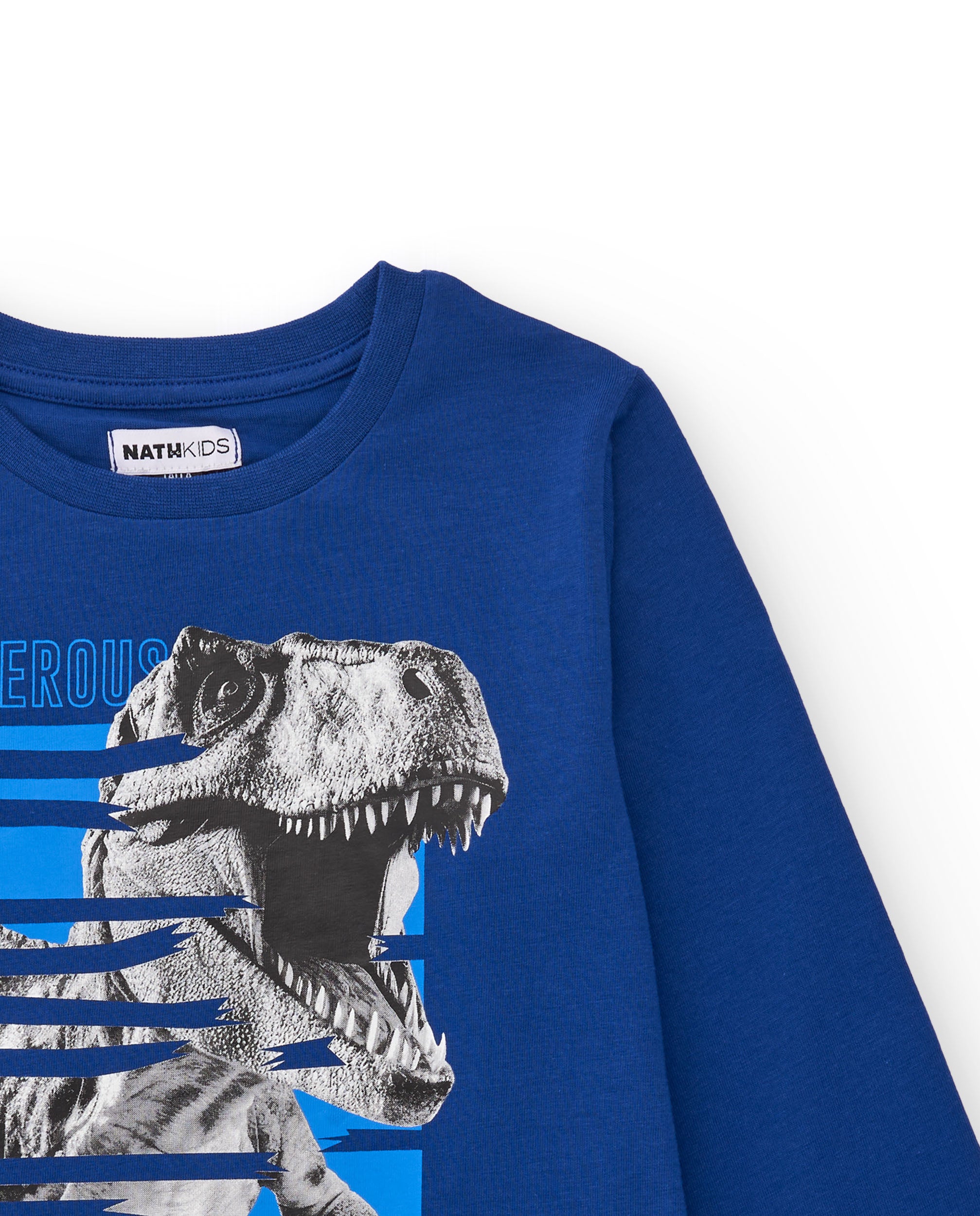 Camiseta de manga larga para niño azul con estampado de