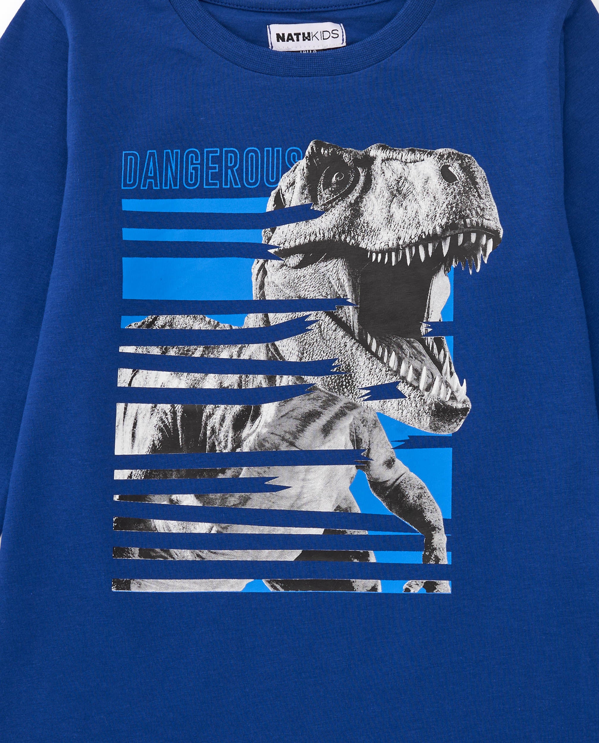 Camiseta de manga larga para niño azul con estampado de