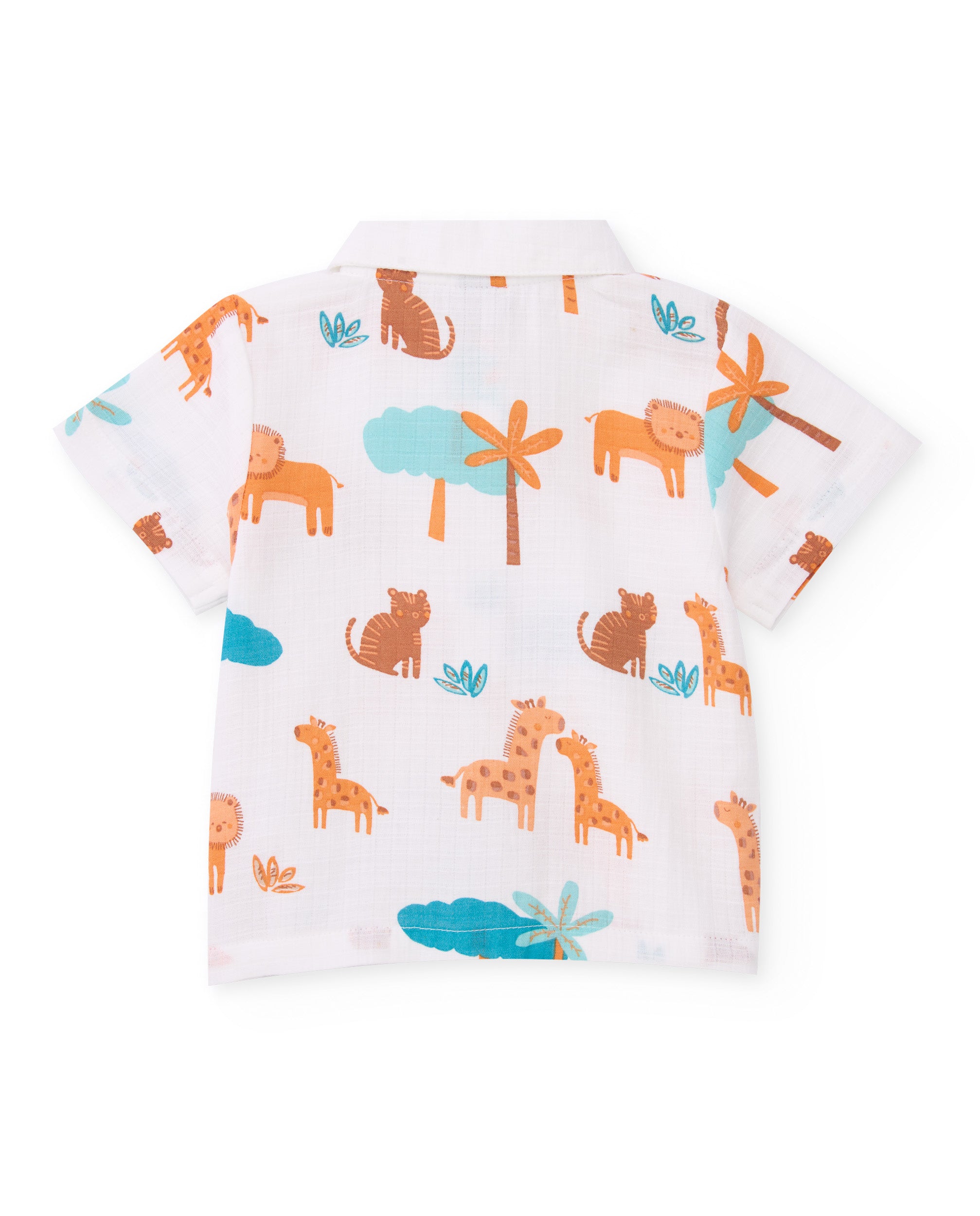 Conjunto de recién nacido de plana y estampado sabana