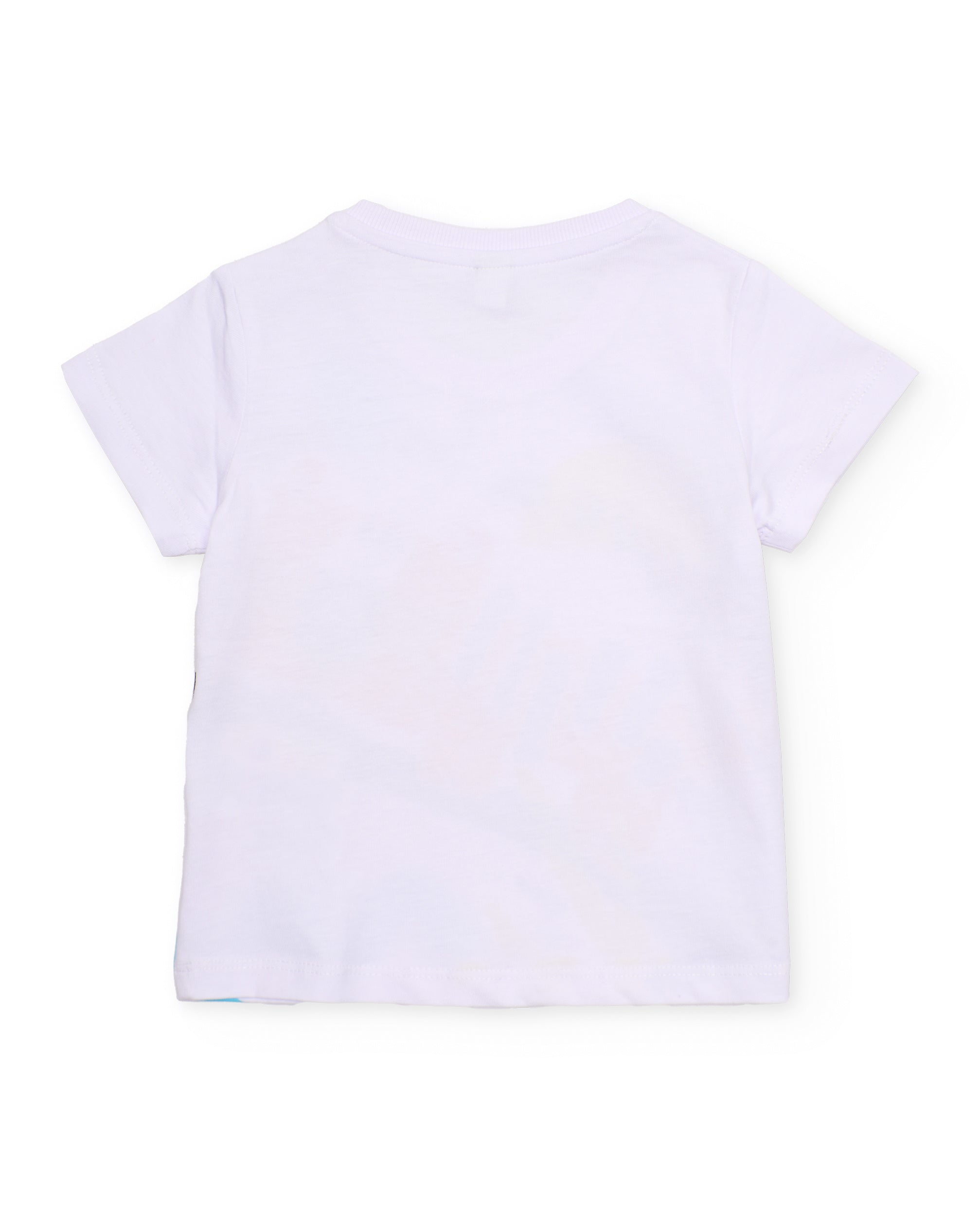 Conjunto de niño de punto y gráfico de tigre
