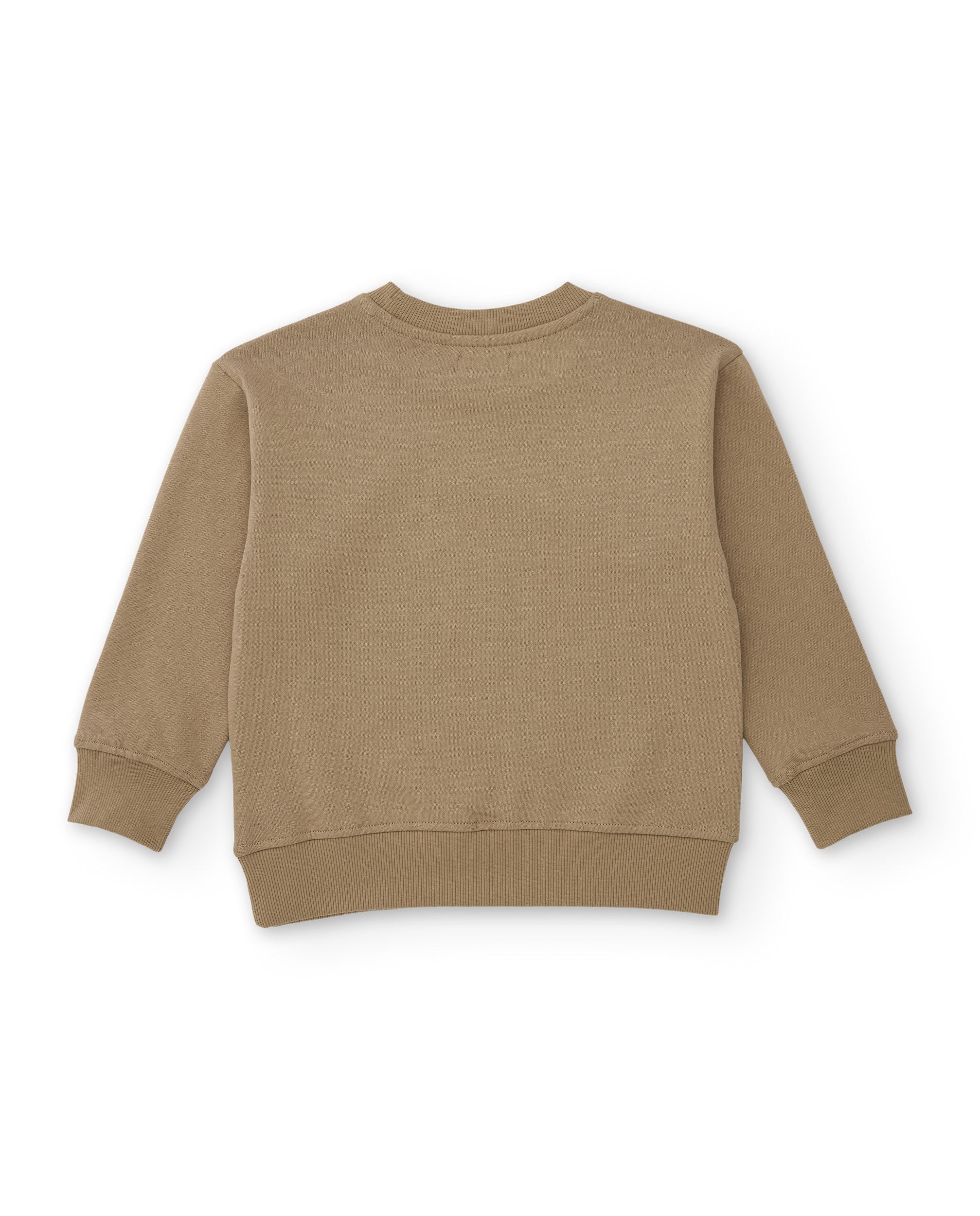 Conjunto de niño de punto con sudadera de gecko y pantalón jogger
