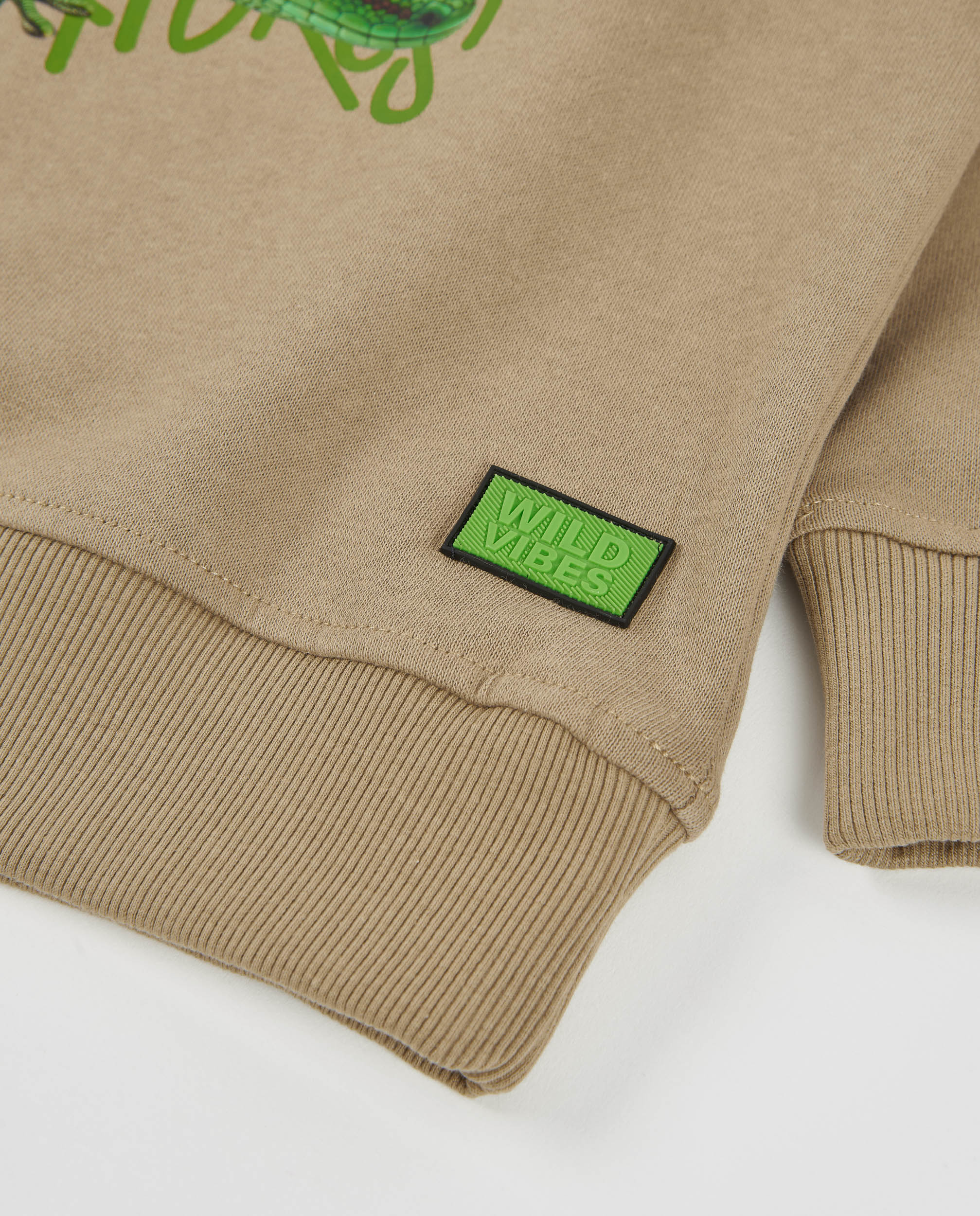 Sudadera de niño de felpa con estampado de gecko