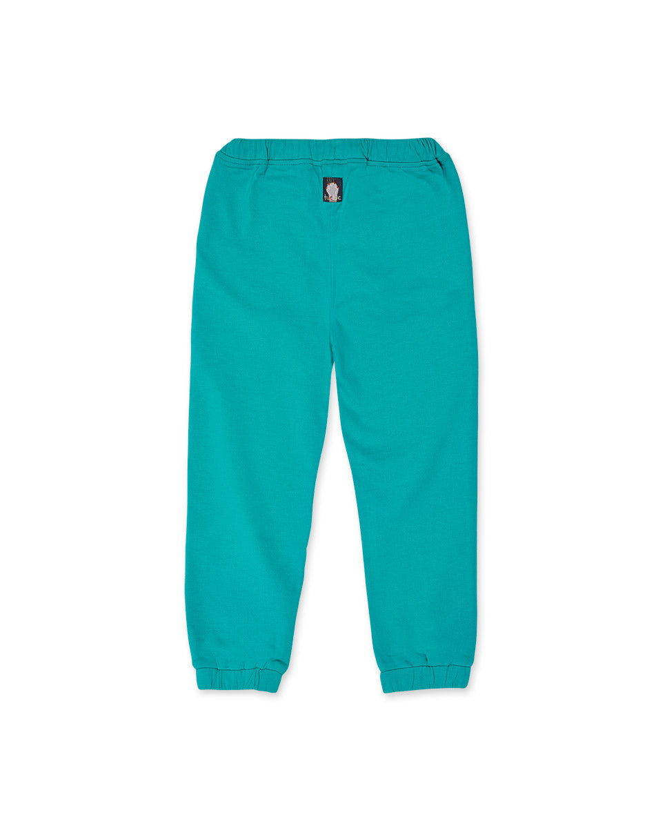 Pantalón felpa azul niño Cattitude