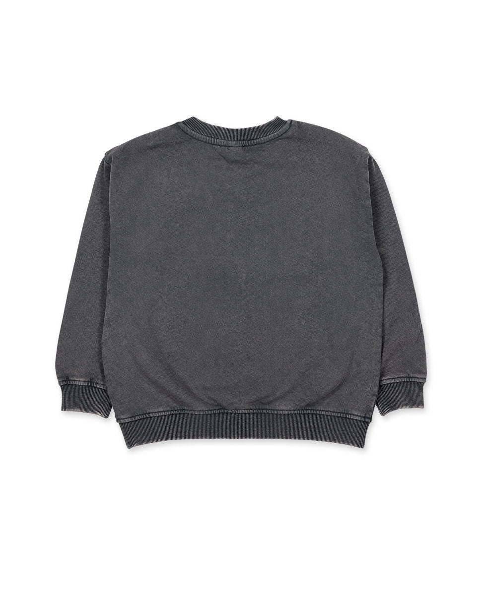 Sudadera felpa gris niño Cattitude.