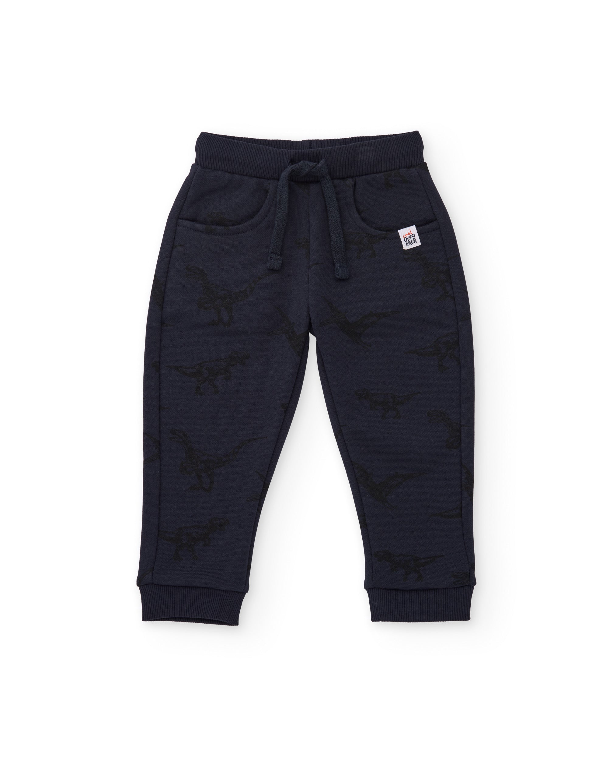 Conjunto de niño de felpa con sudadera con capucha y estampado de dinosaurios