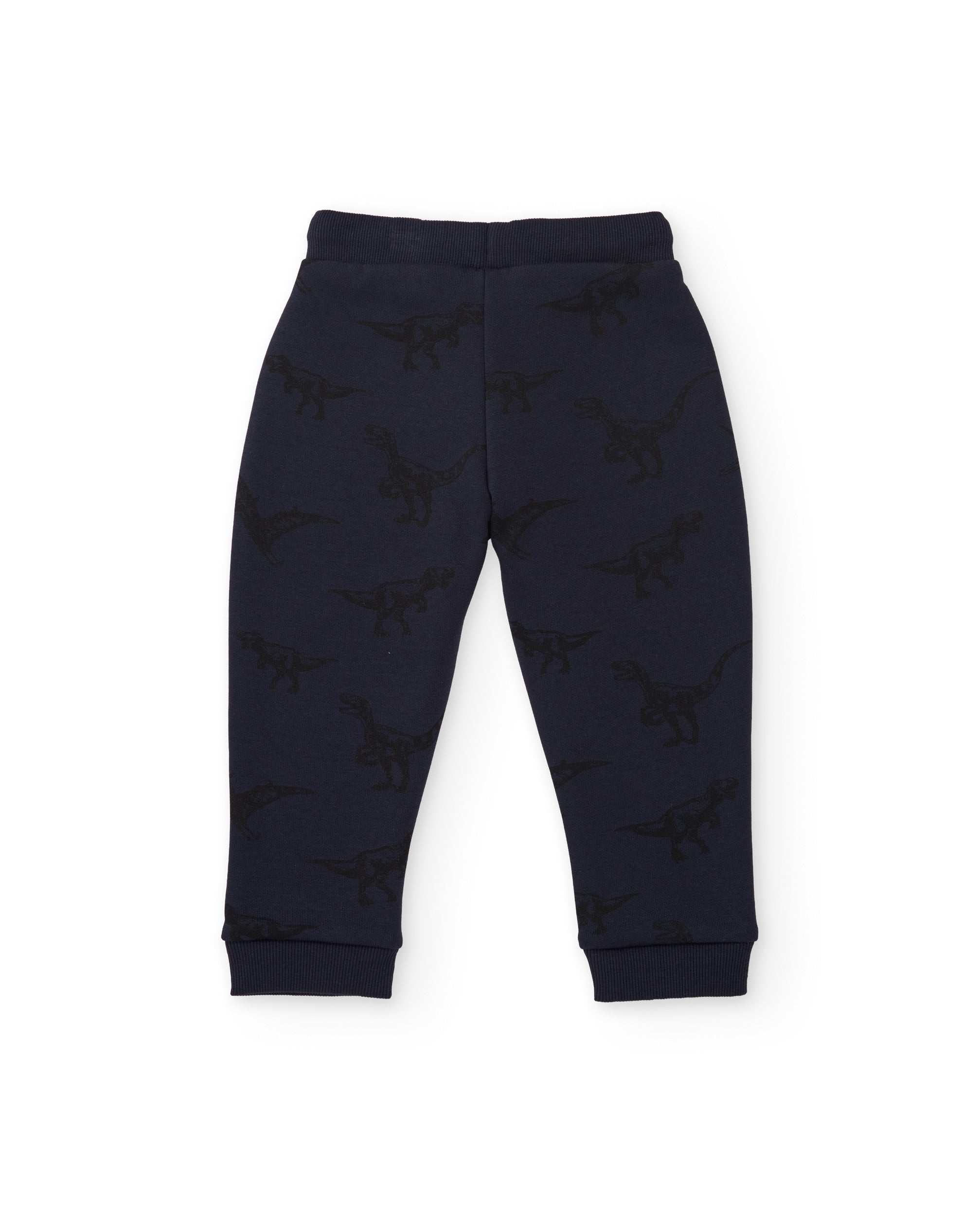 Conjunto de niño de felpa con sudadera con capucha y estampado de dinosaurios