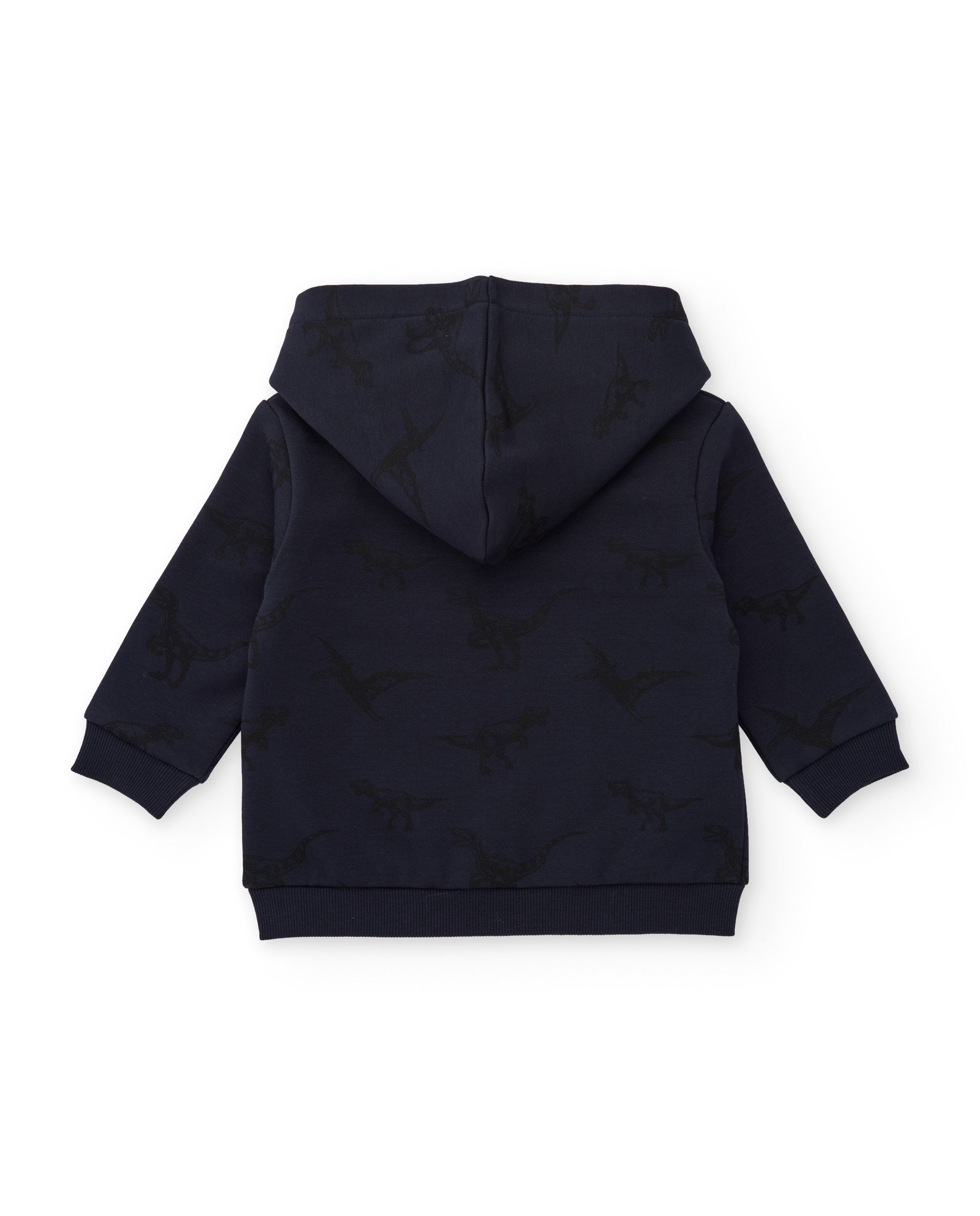 Conjunto de niño de felpa con sudadera con capucha y estampado de dinosaurios