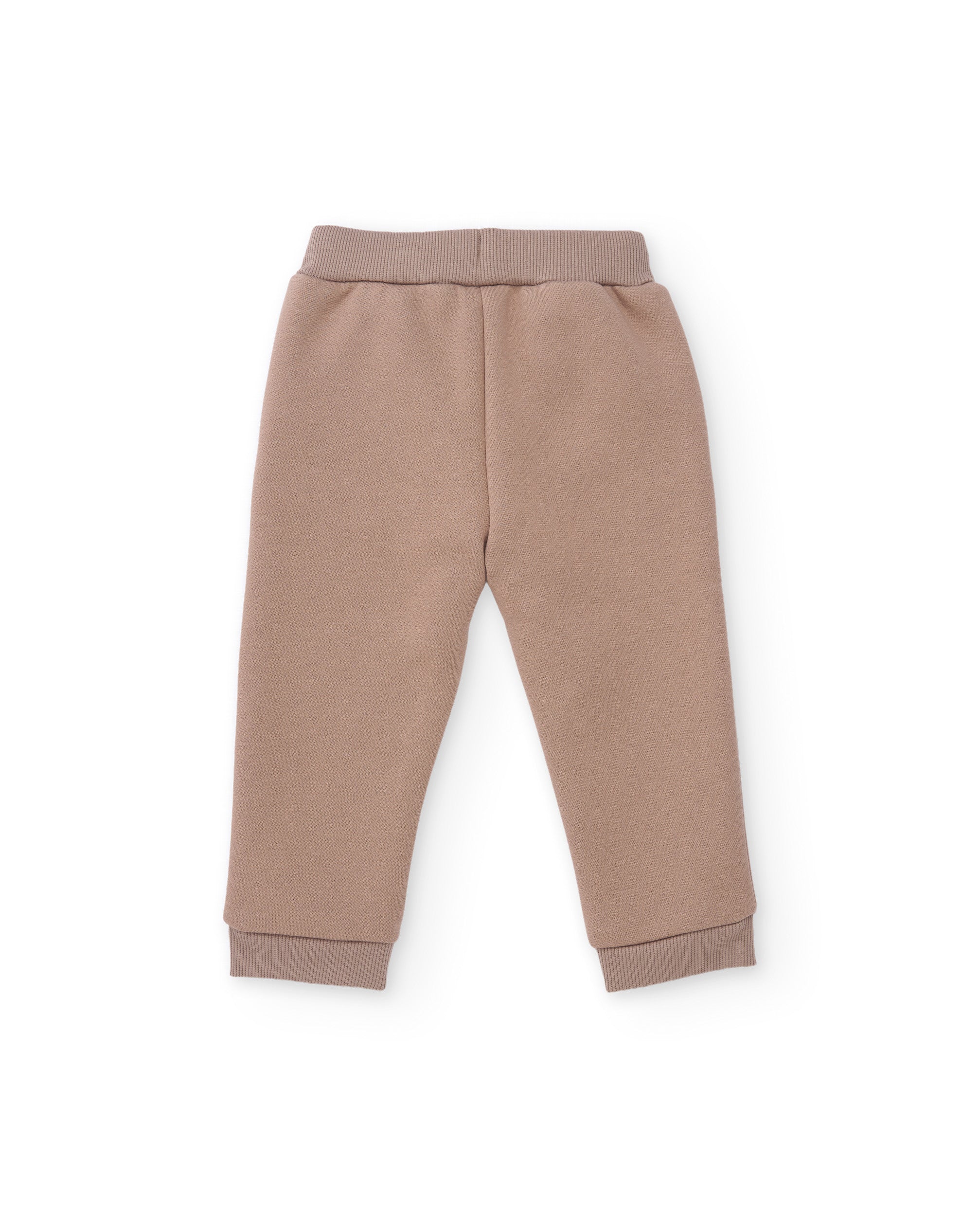 Conjunto de niño de felpa con sudadera de diseño de osos y pantalón a juego