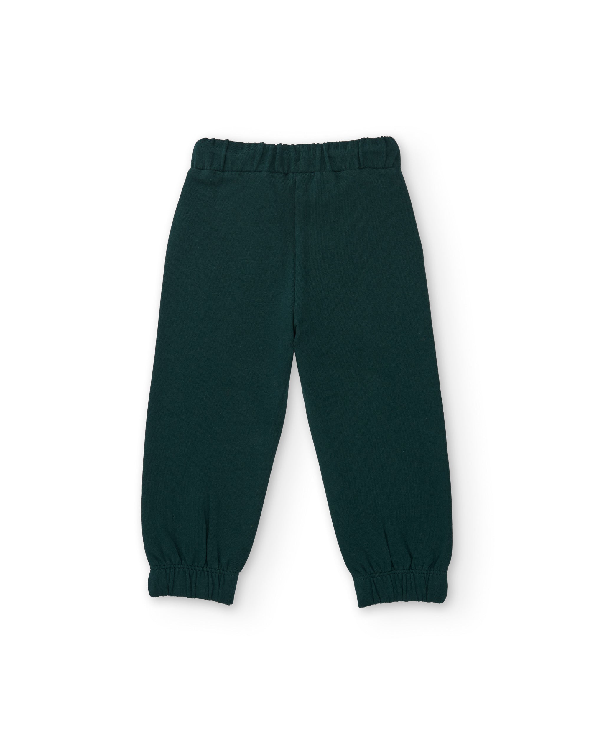 Conjunto de niño de felpa con sudadera diseño de sabana y pantalón a juego