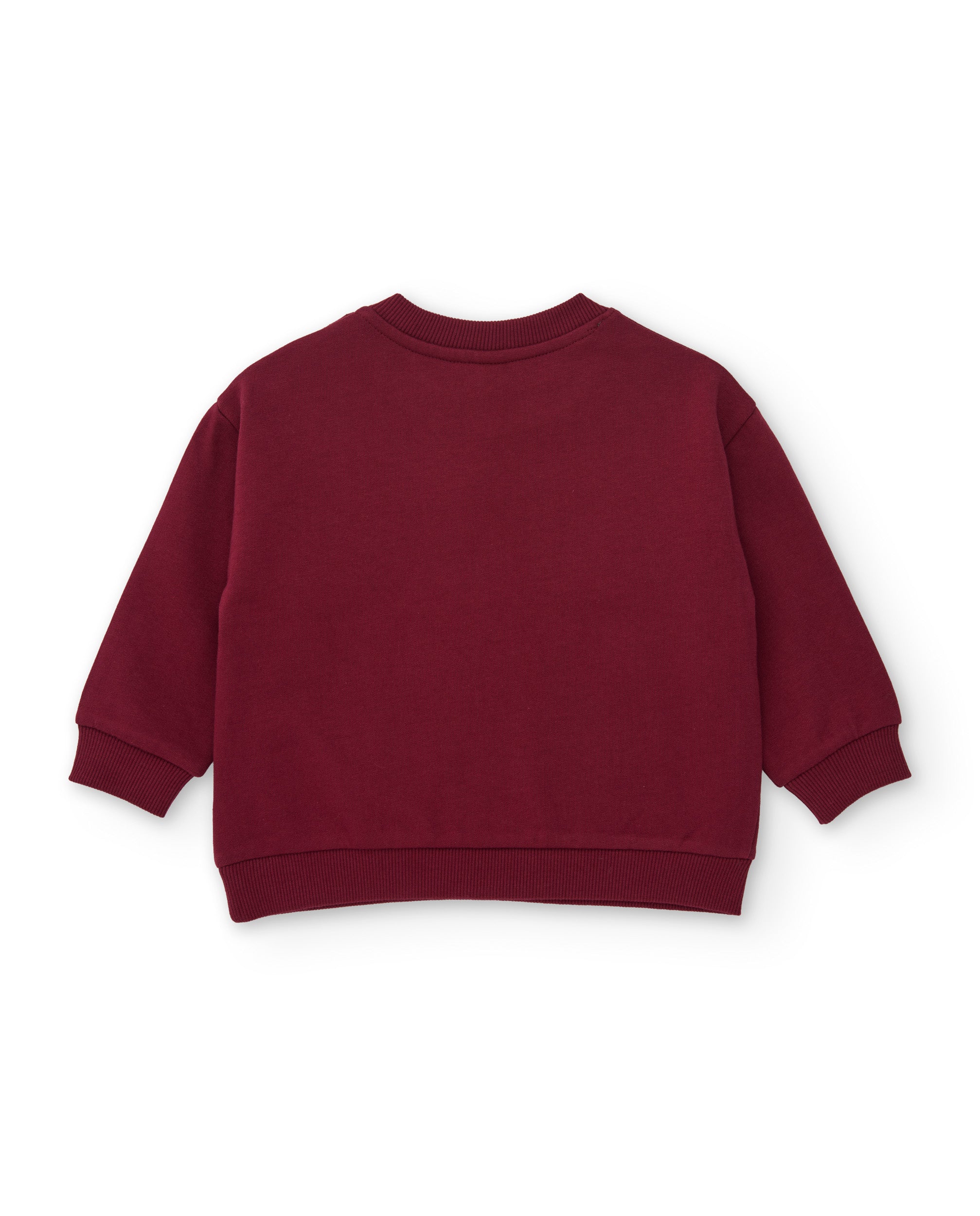 Conjunto de niño de felpa con sudadera de animales sabana y pantalón