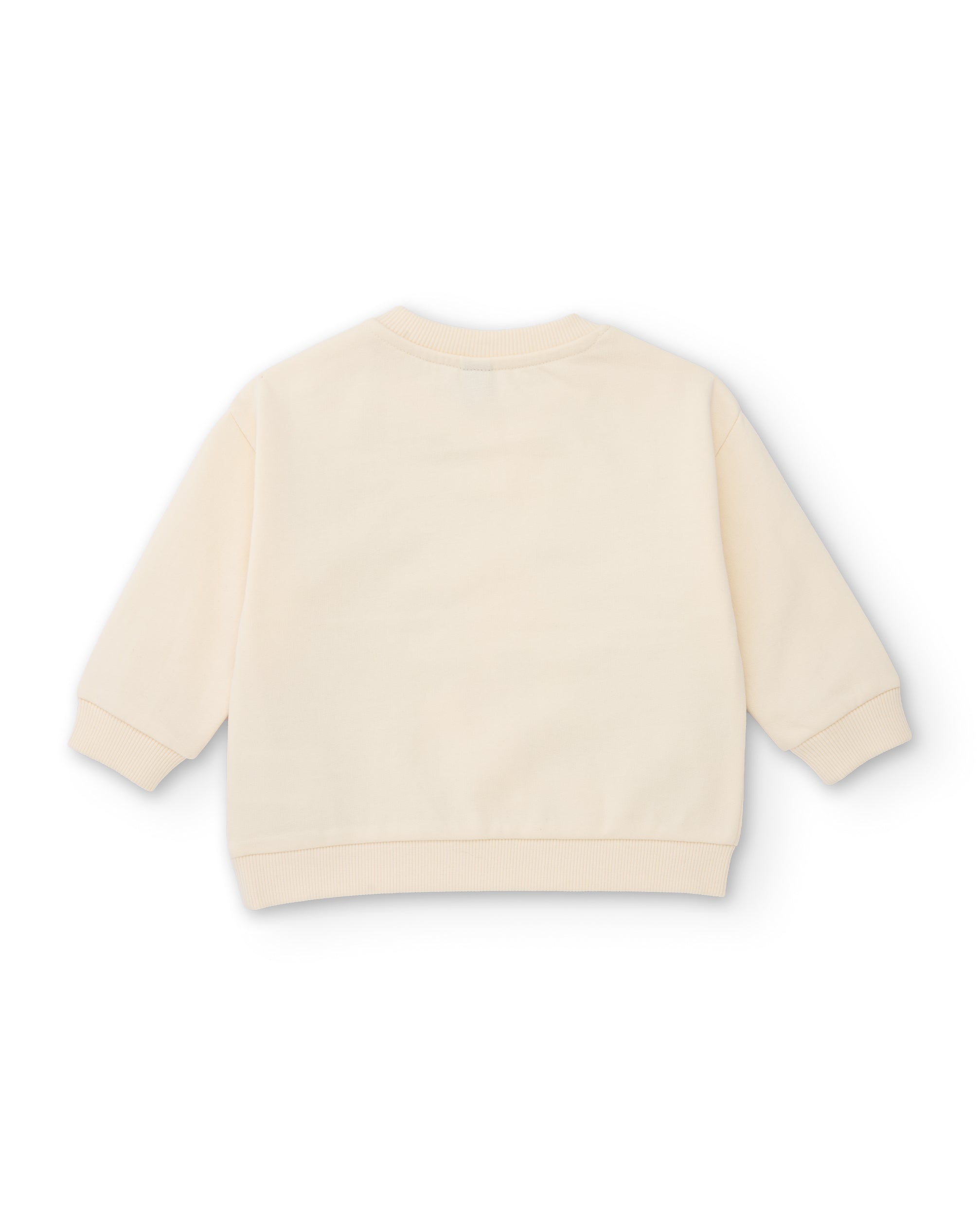 Sudadera de niño de felpa con gráficos dinosaurios y tacto cálido