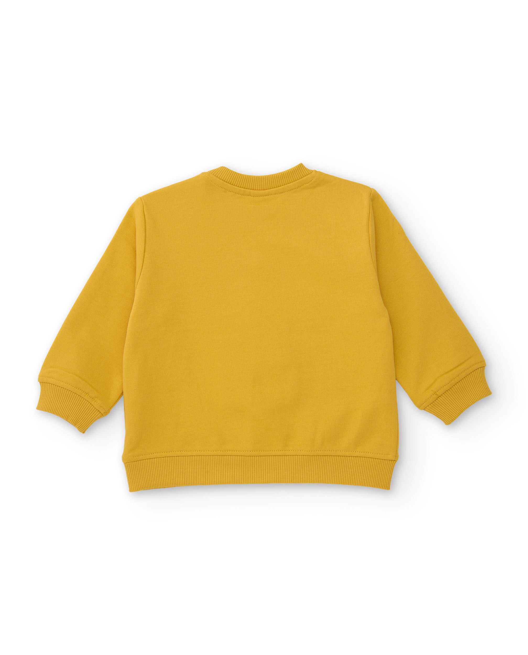 Sudadera de niño de felpa con diseño tigre y aplique divertido