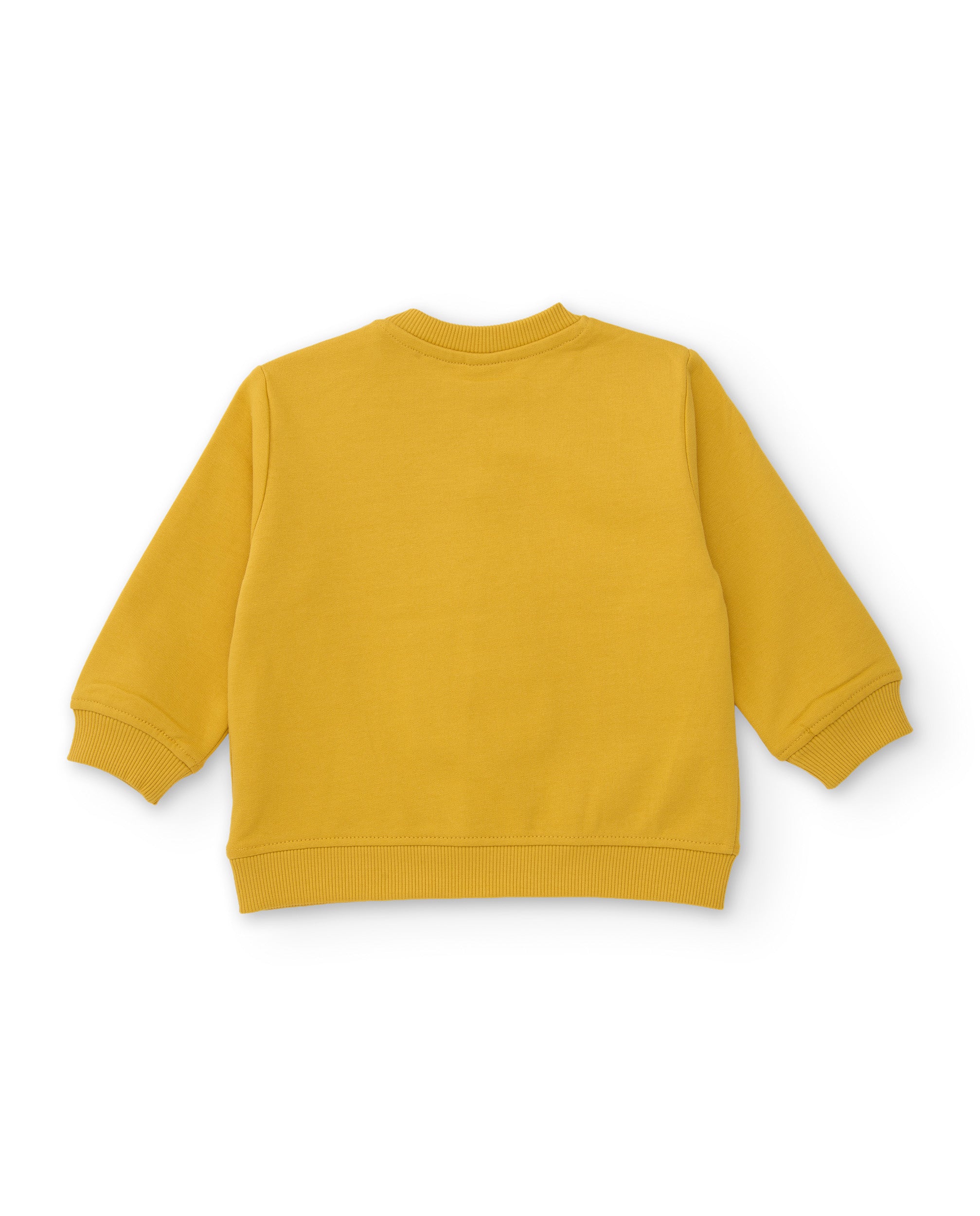 Conjunto de niño de felpa con sudadera de diseño de tigre y pantalón a juego