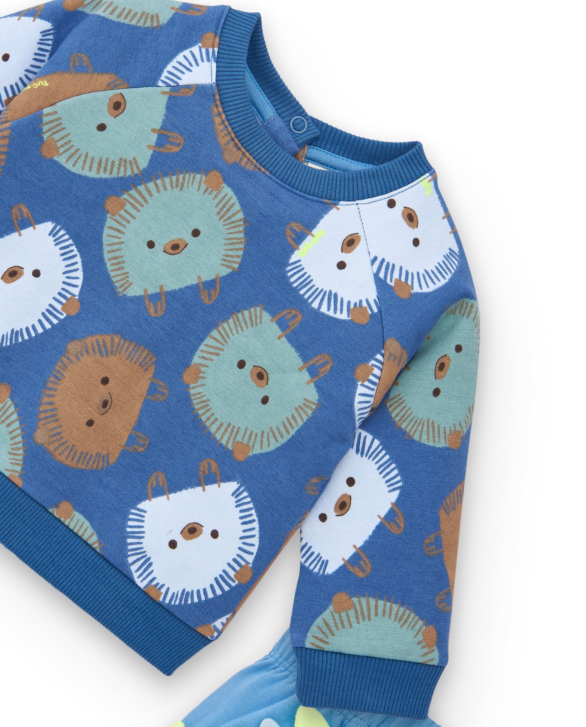 Conjunto de sudadera y pantalón para niño en azul con estampado