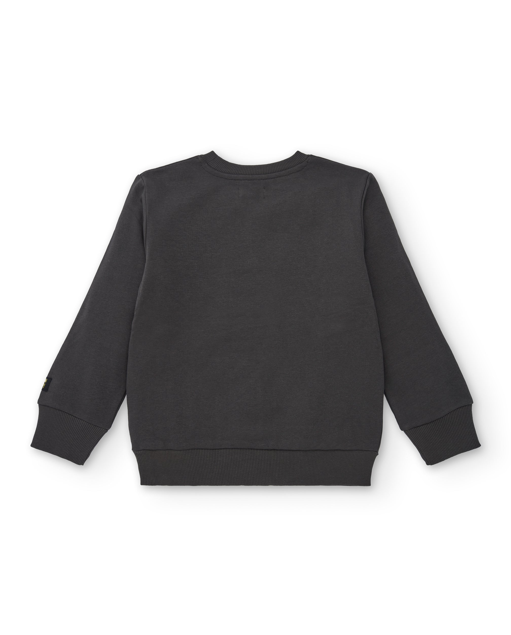 Sudadera gris oscuro con mensaje gráfico para niño de la
