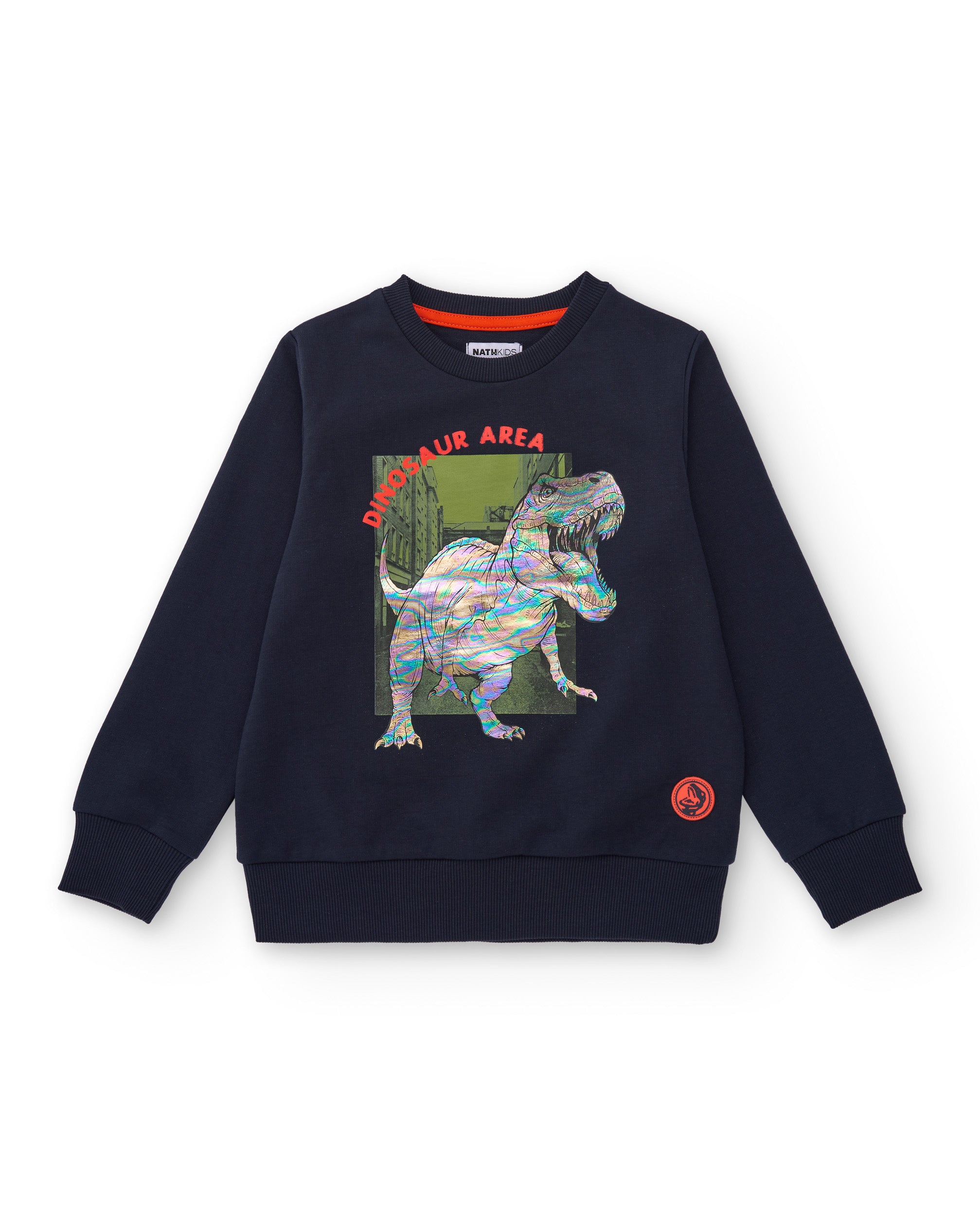 Sudadera azul marino para niño con estampado de dinosaurio