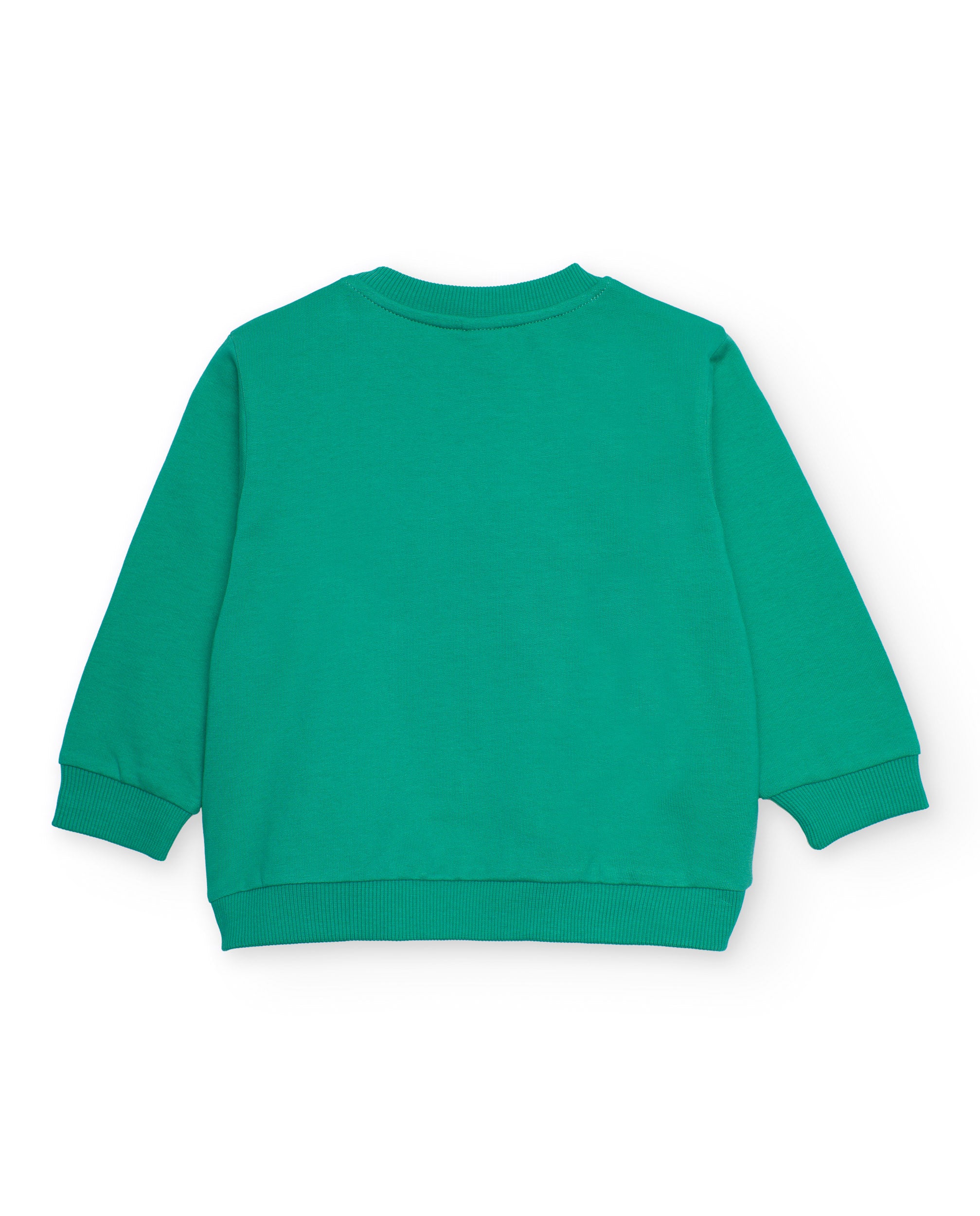 Sudadera de felpa para niño color verde con estampado de