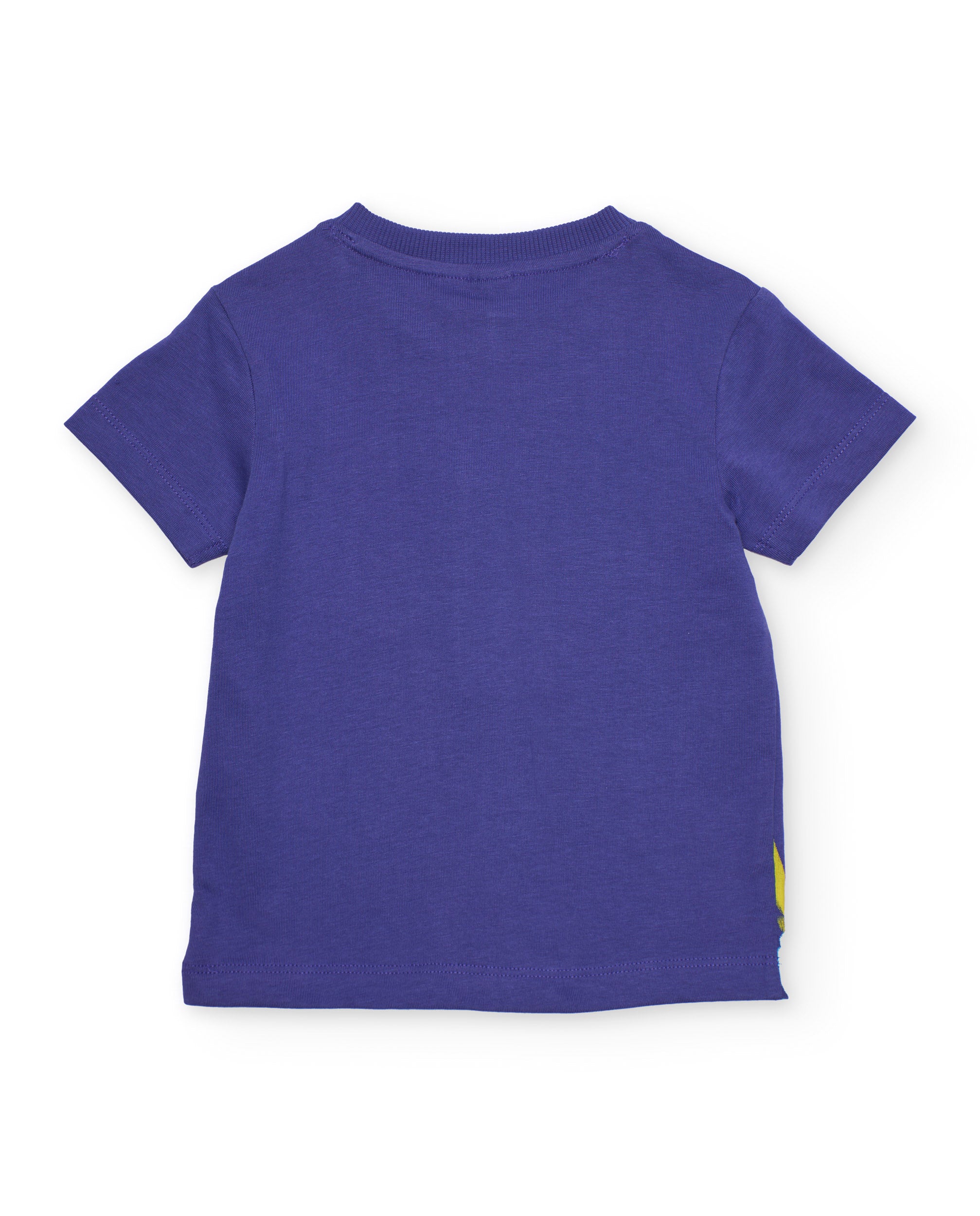 Conjunto de niño de punto con inspiración de jungla