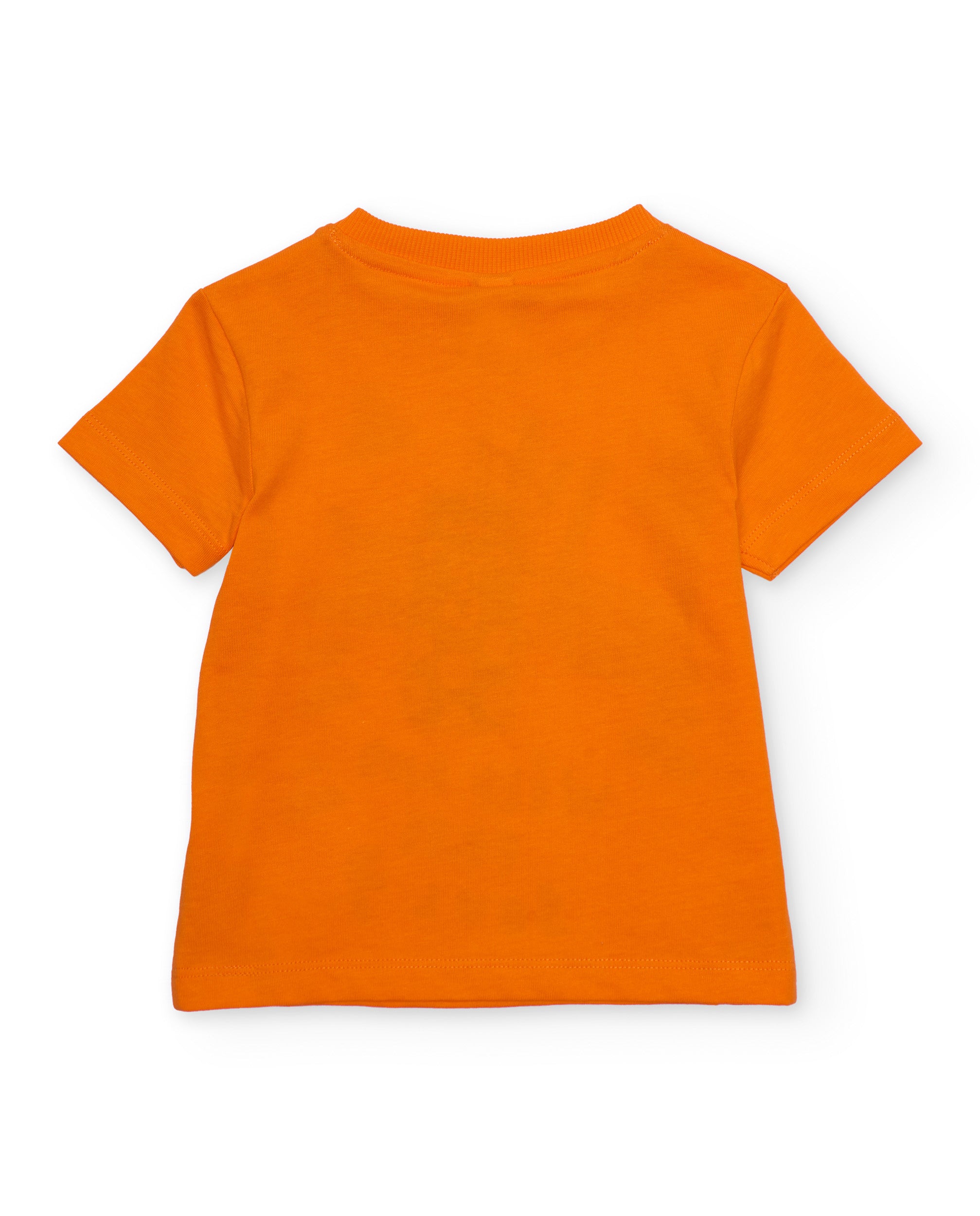 Camiseta de niño de punto y estampado frontal de tigre