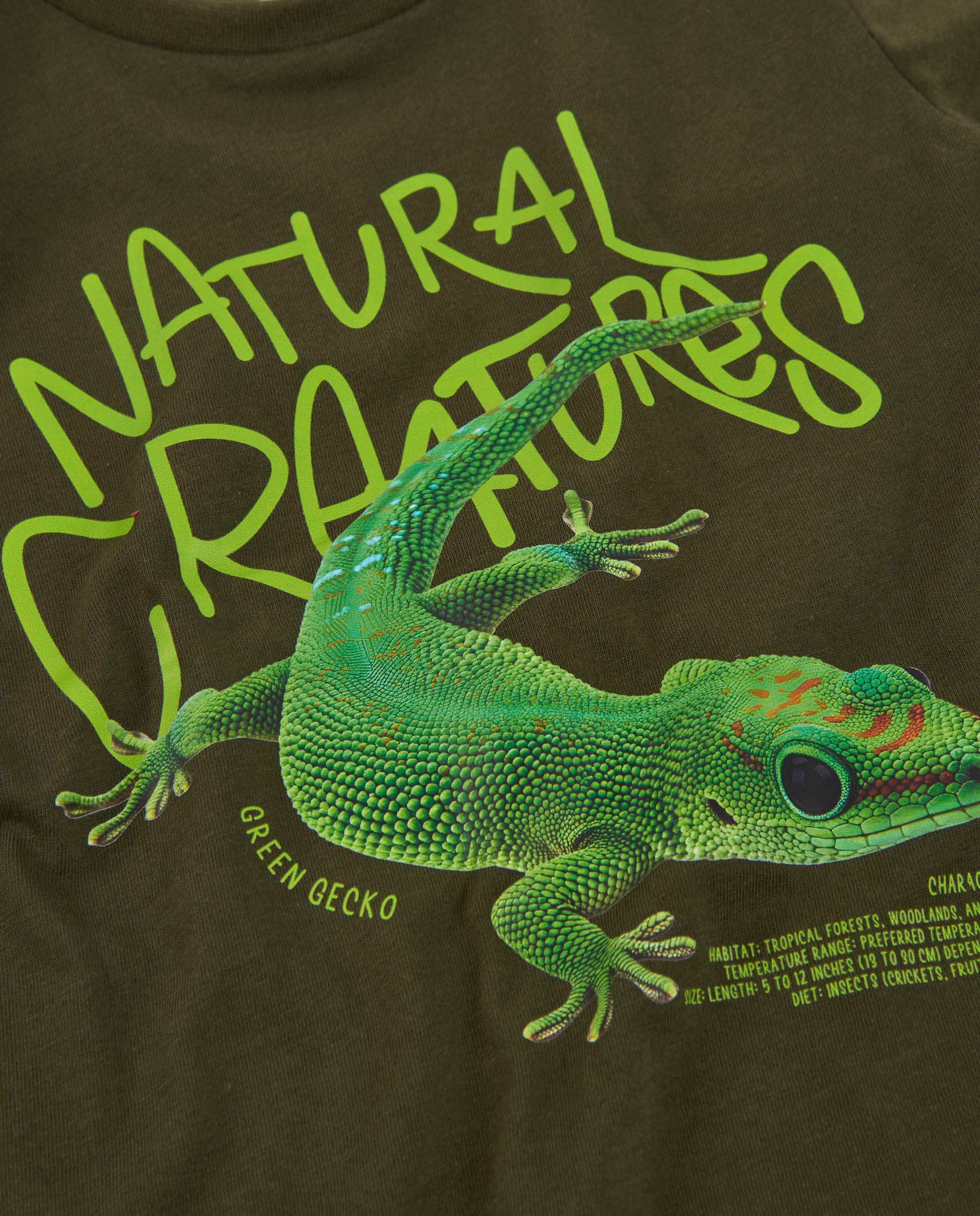 Camiseta de niño de punto con diseño de gecko y manga larga