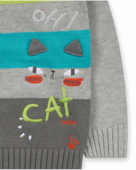 Gray tricot jumper for boy Cattitude