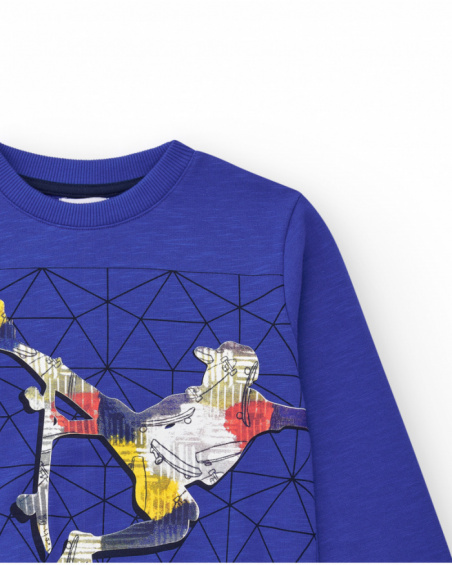 Boys' sweatshirt in blue with ribbed cuffs and a round neckline.