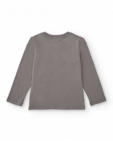 Boys’ grey long sleeve t-shirt with skater print