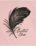 Pink sweatshirt for girls with pleats and feather print