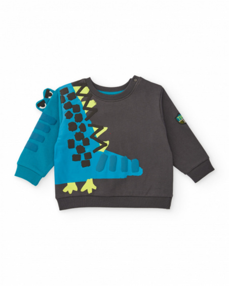 Boy’s sweatshirt in grey and blue with dinosaur print and 3D details