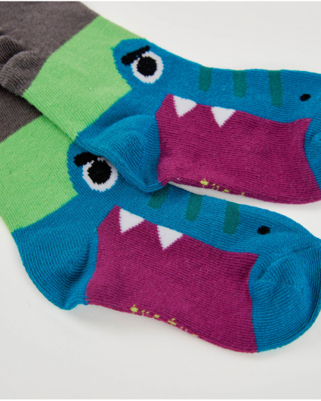 Sock pack for boys with dinosaur design and raised details.