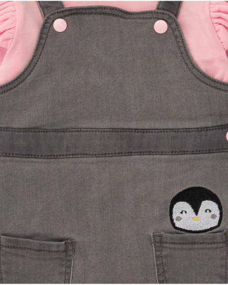 Baby girl outfit with pink ruffled t-shirt and grey pinafore dress with pockets