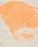 Boys’ knit T-shirt with reptile print