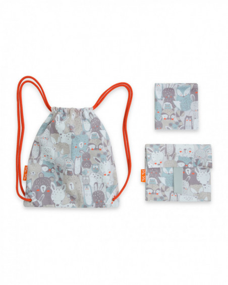 Set snack bag+napkin+lunch tuctuc&friends grey