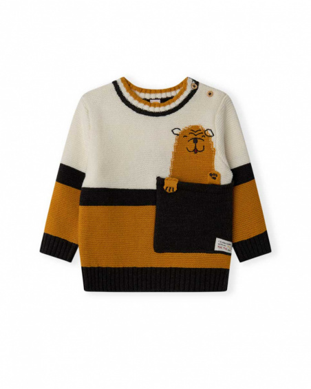 Orange Tricot Sweater Boy Dog'S Mix