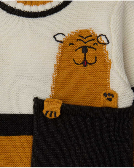 Orange Tricot Sweater Boy Dog'S Mix