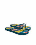 All Terrain boy's green flip flops