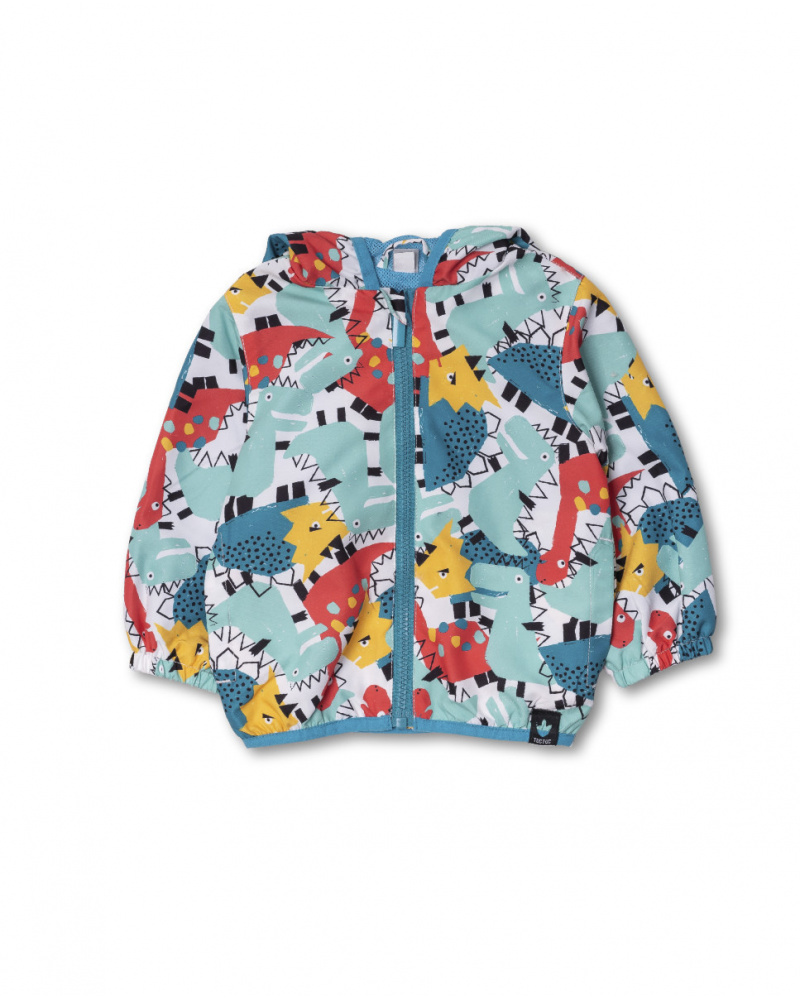 Green windbreaker for boy Juicy