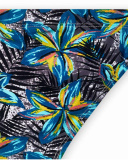 Lost Paradise boy's printed swimsuit slip