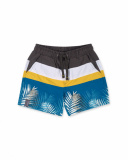 Lost Paradise boy's striped swim shorts