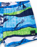 Diving Adventures boy's printed boxer swimsuit