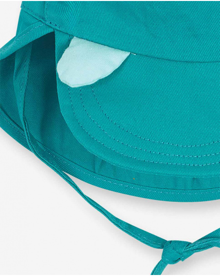 Blue turtle flat cap for boy Turtles