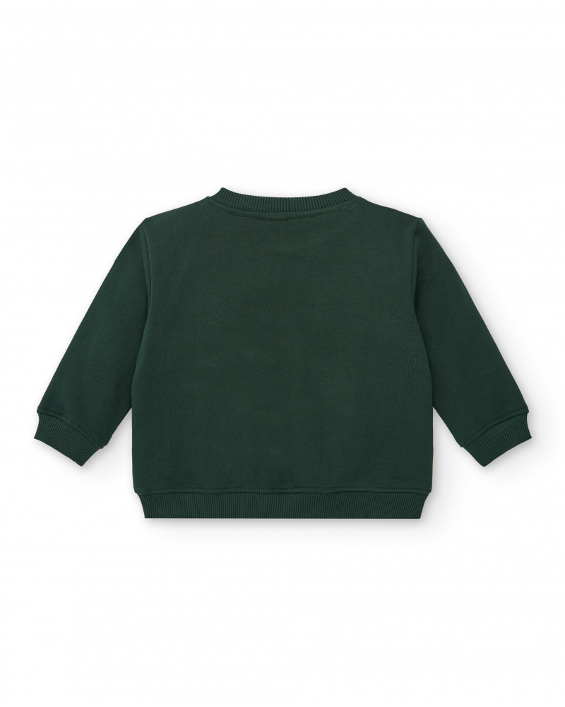 Boys green sweatshirt online
