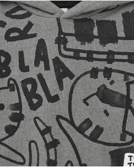 Boys' grey fleece sweatshirt with hood and "Bla Bla" tiger print from the Cartoon Calling collection