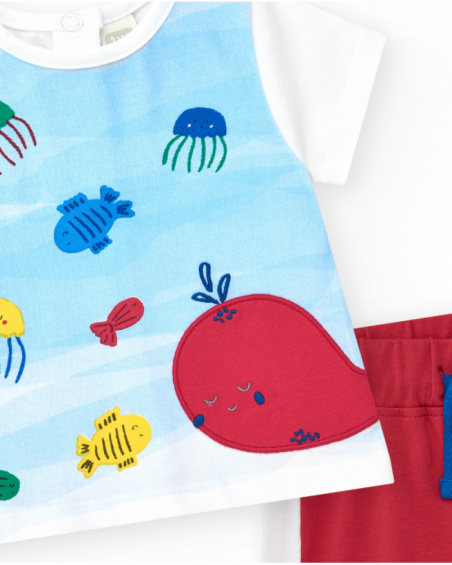 Knitted outfit for boys with white T-shirt and red shorts with white details